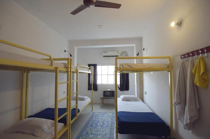 Chalo Eco Hostel Jaipur Eksteriør bilde